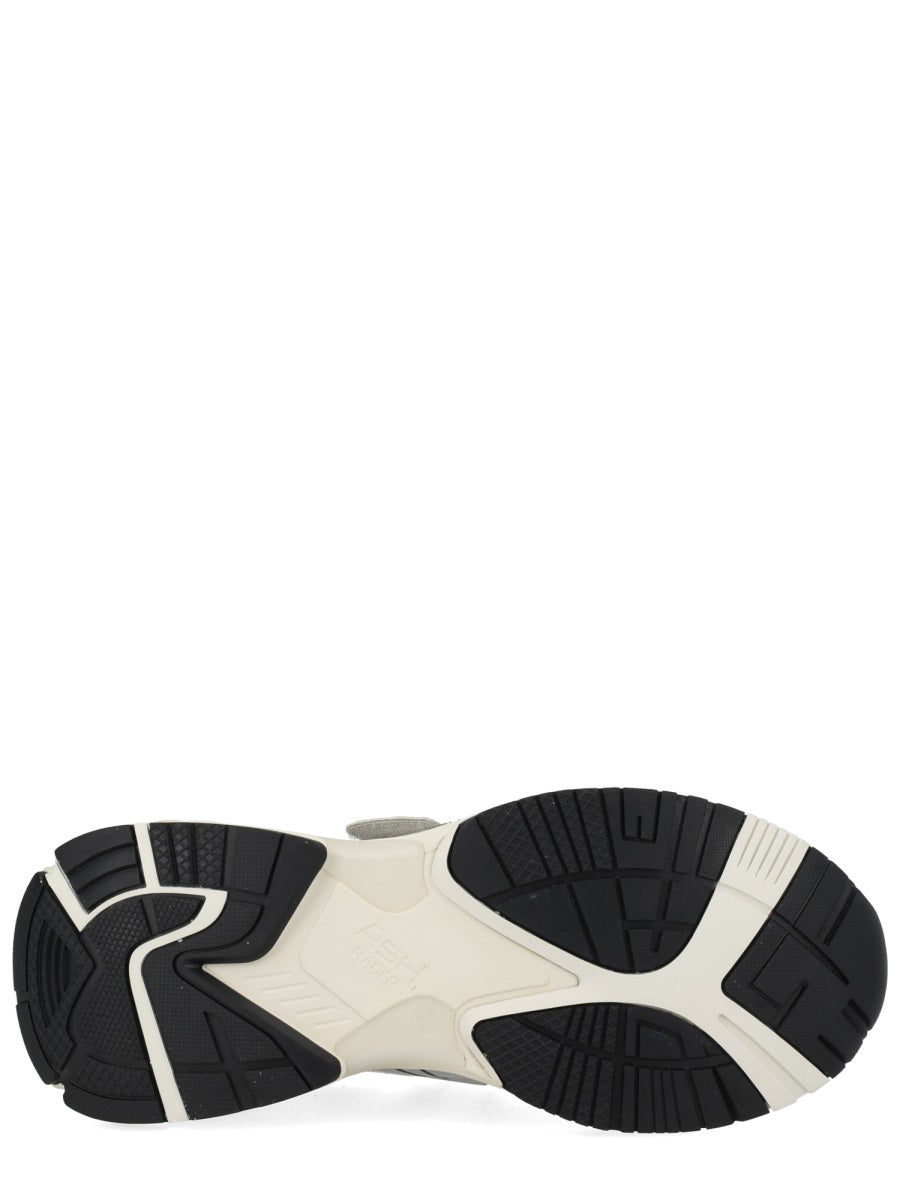 Ash Sneaker "Rolls"