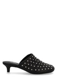 Ash Mule "Eloise"