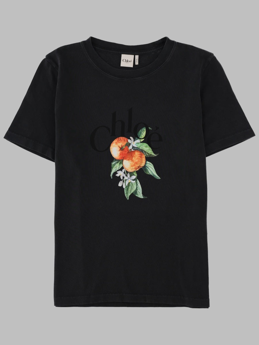 Chloé T Shirt Con Logo In Jersey Di Cotone