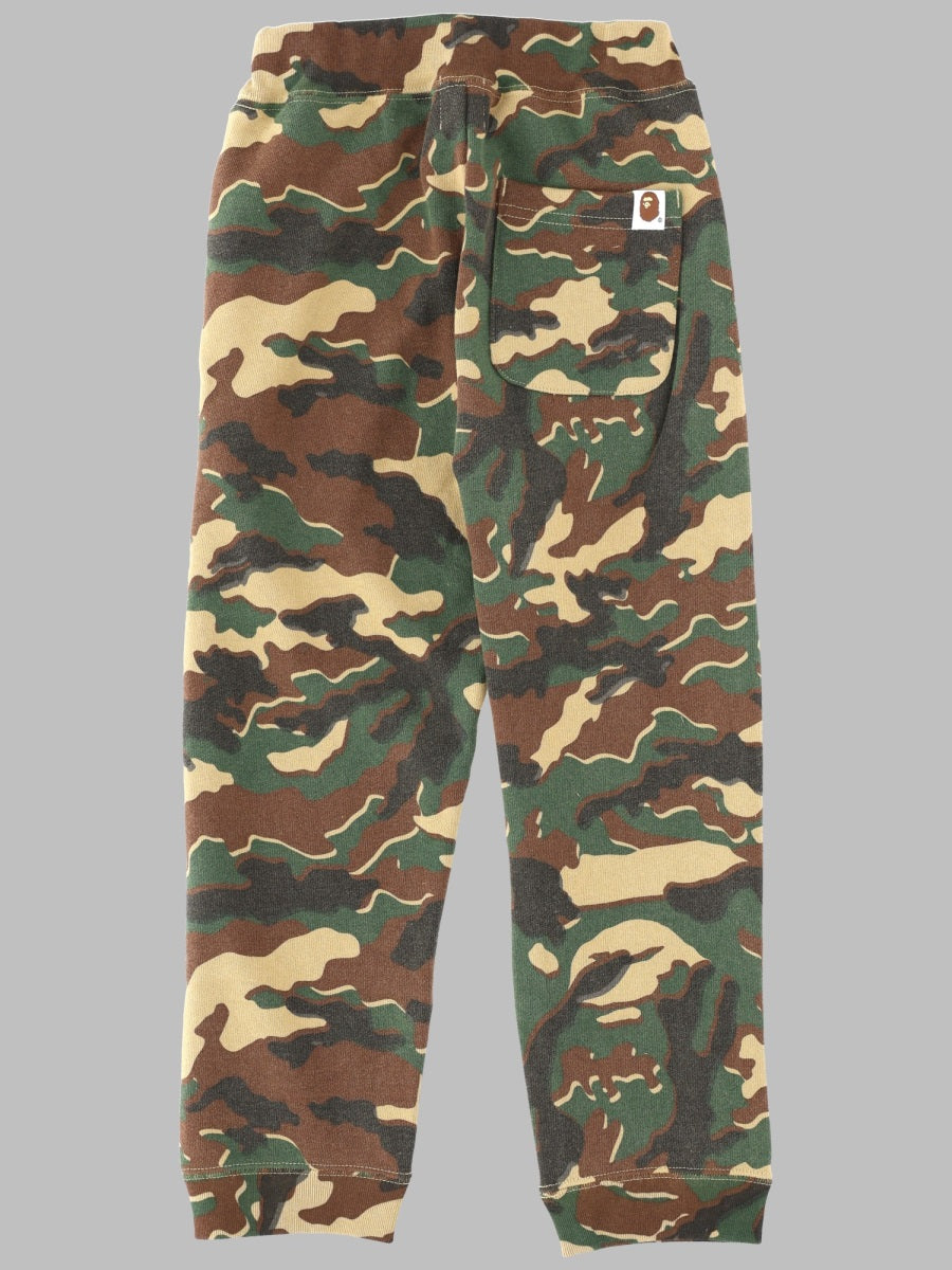 A Bathing Ape Camo Shark Swe