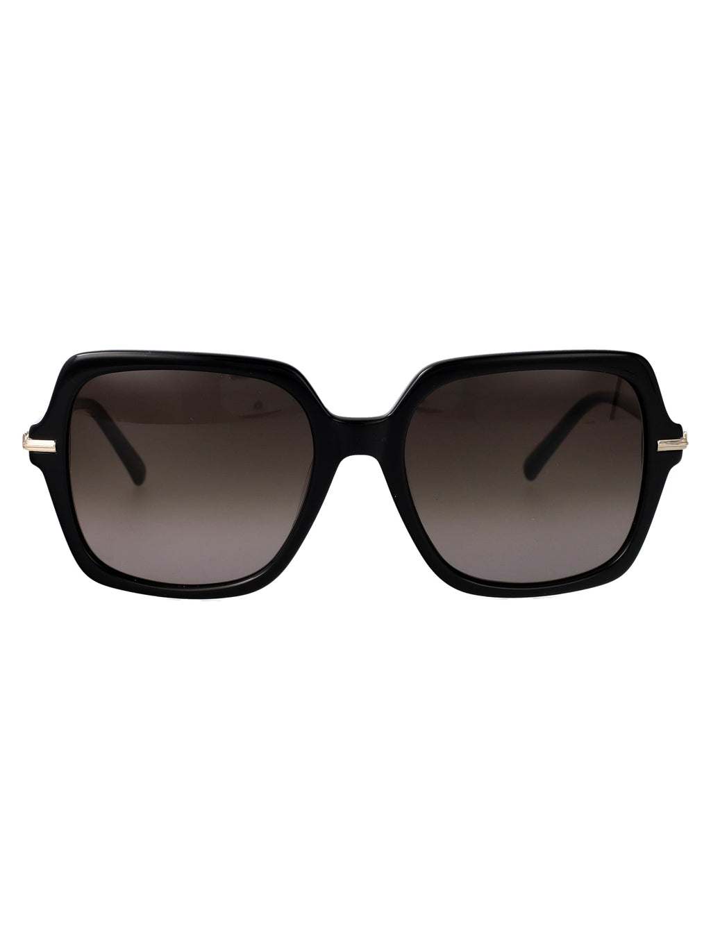 Salvatore Ferragamo Rectangular Sunglasses Sf2076 S 1