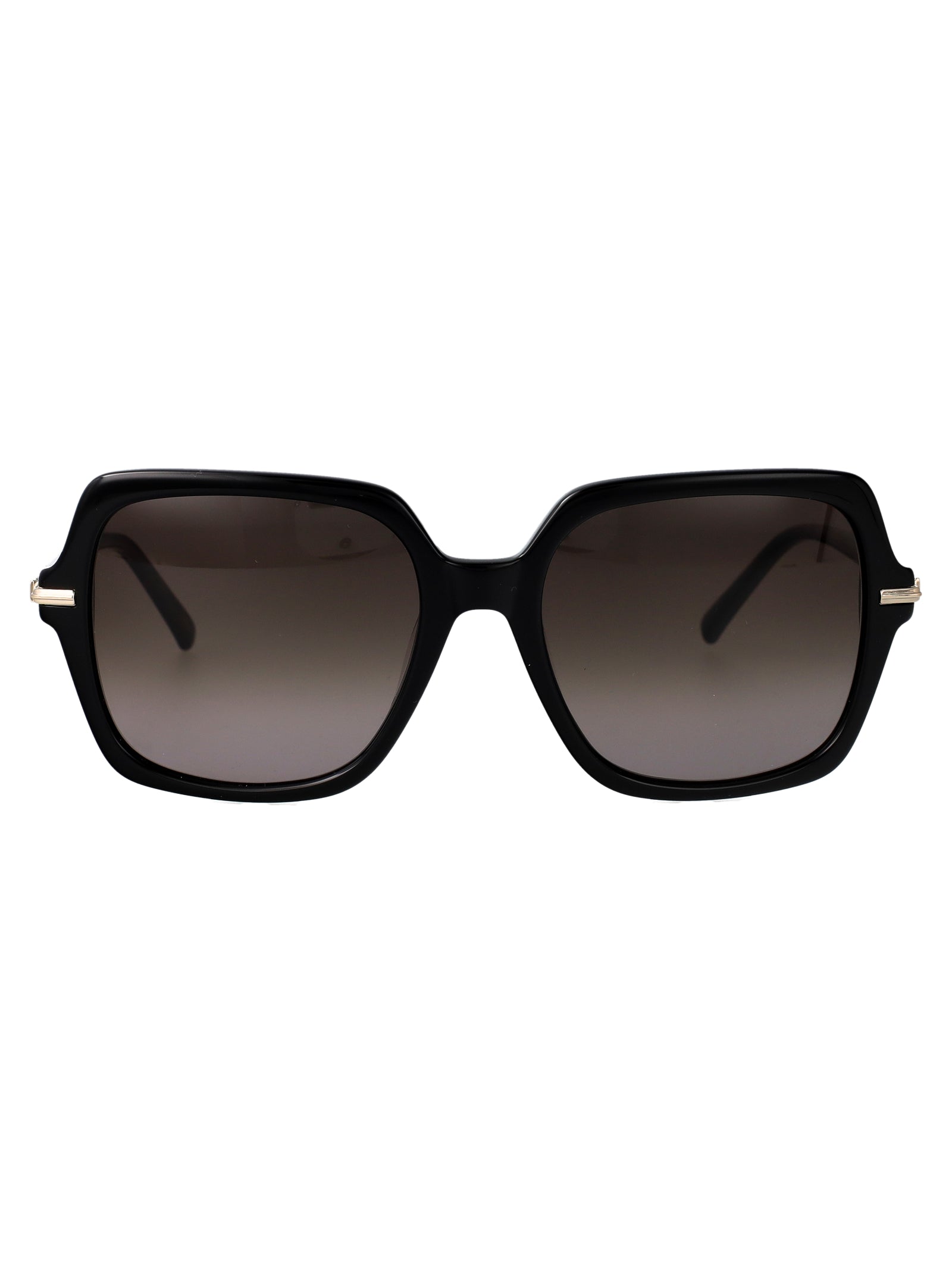 Salvatore Ferragamo Rectangular Sunglasses Sf2076 S 1