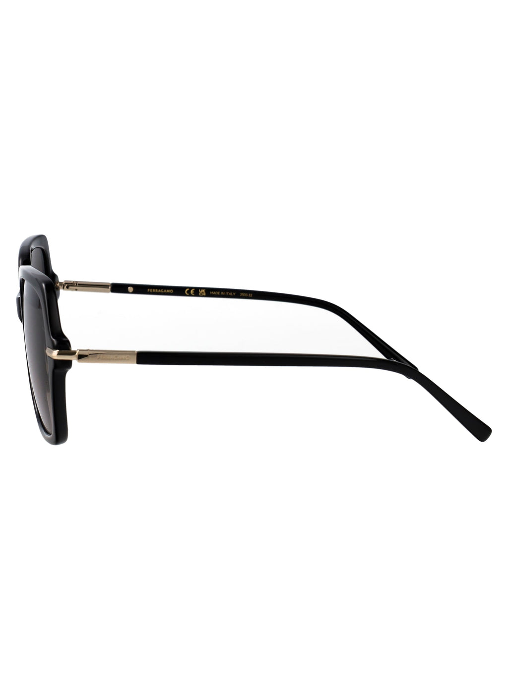 Salvatore Ferragamo Rectangular Sunglasses Sf2076 S 1