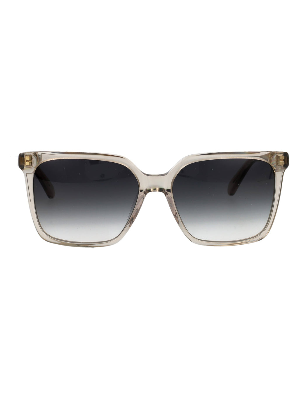 Salvatore Ferragamo Rectangular Sunglasses Sf2102 S 313
