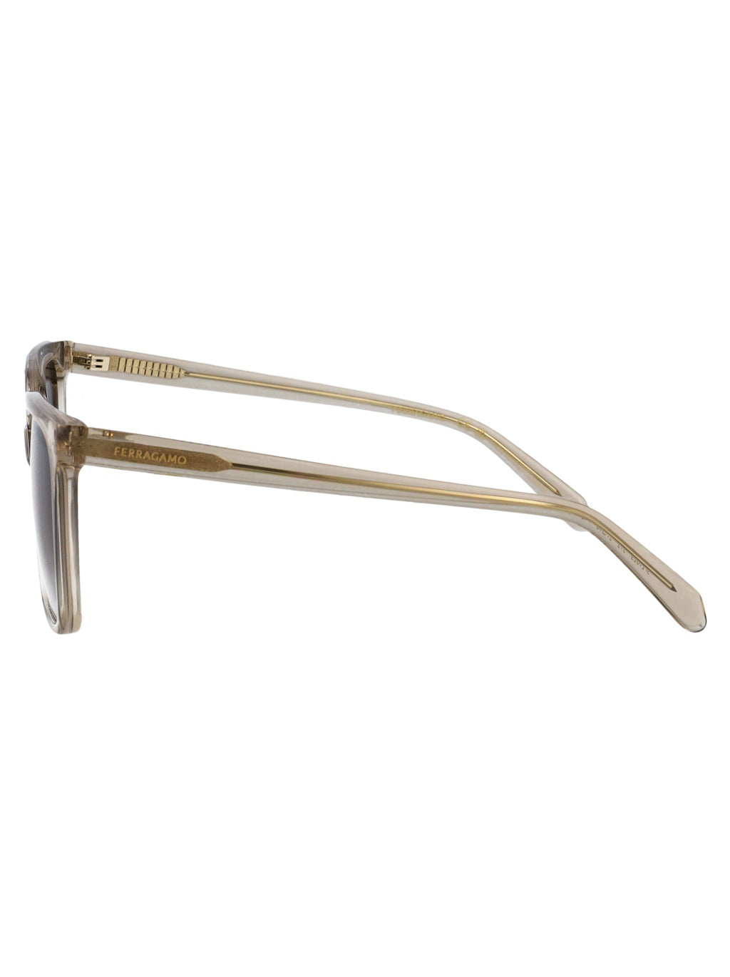 Salvatore Ferragamo Rectangular Sunglasses Sf2102 S 313