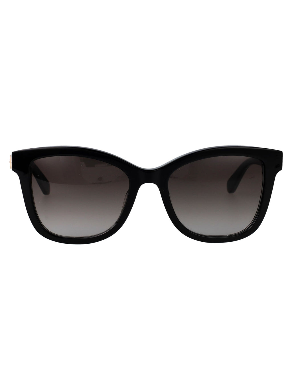 Salvatore Ferragamo Rectangular Sunglasses Sf2108 S 1