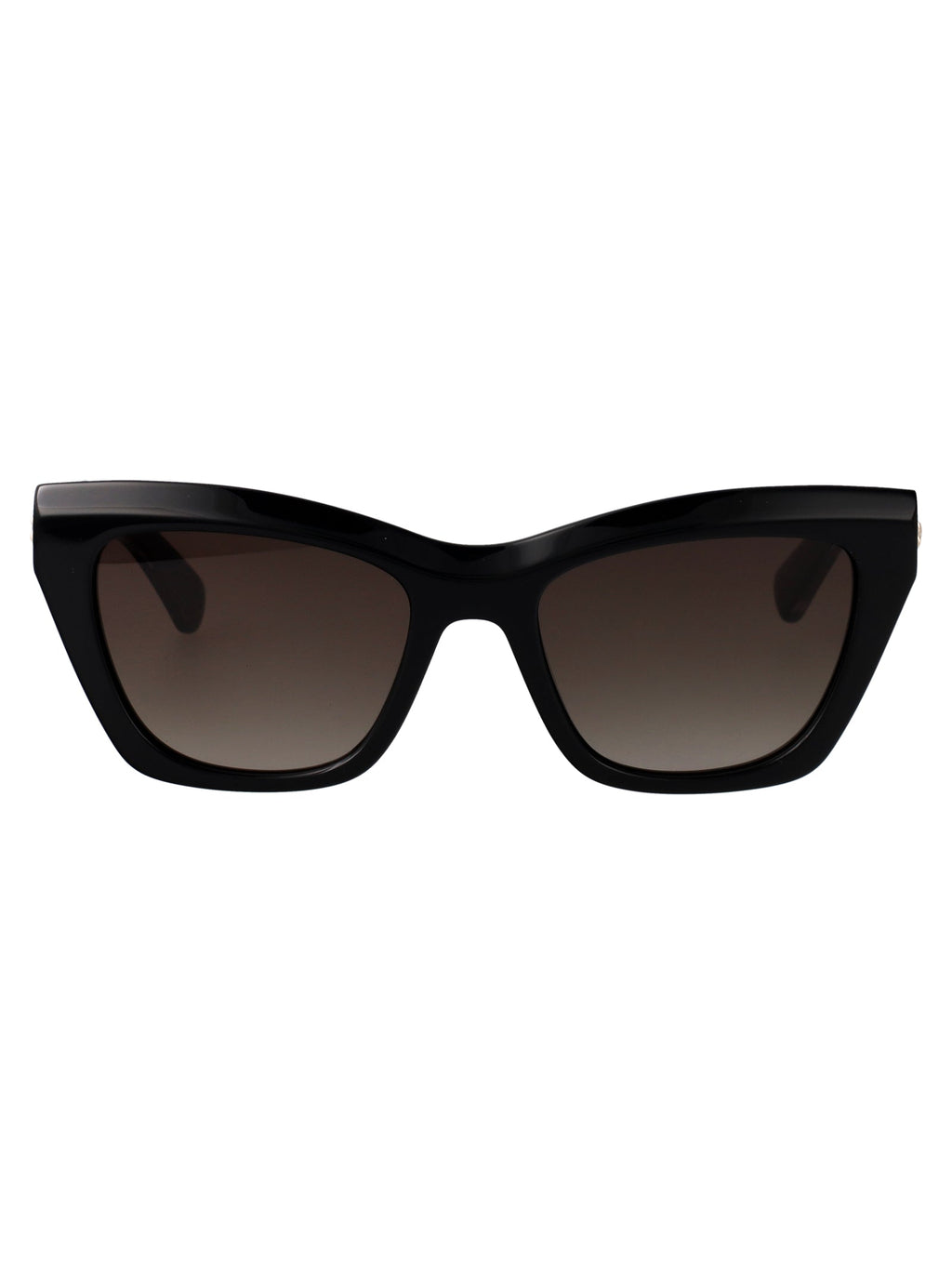 Longchamp Cat Eye Sunglasses Lo777 S 1