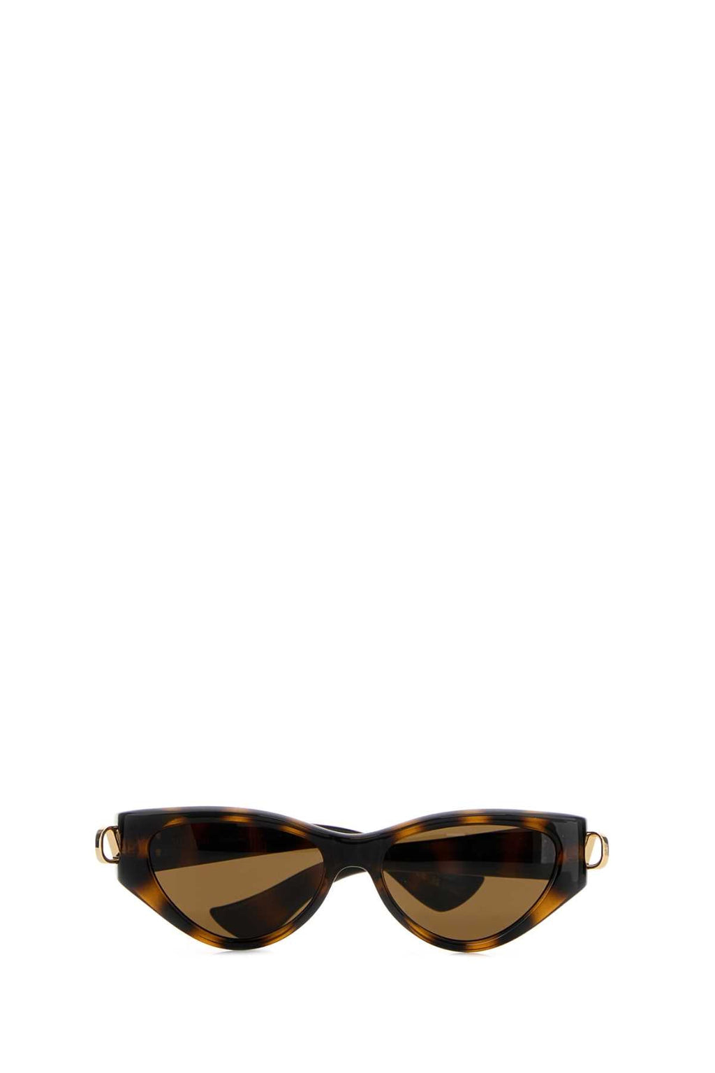 Valentino Garavani Multicolor Acetate Sunglasses