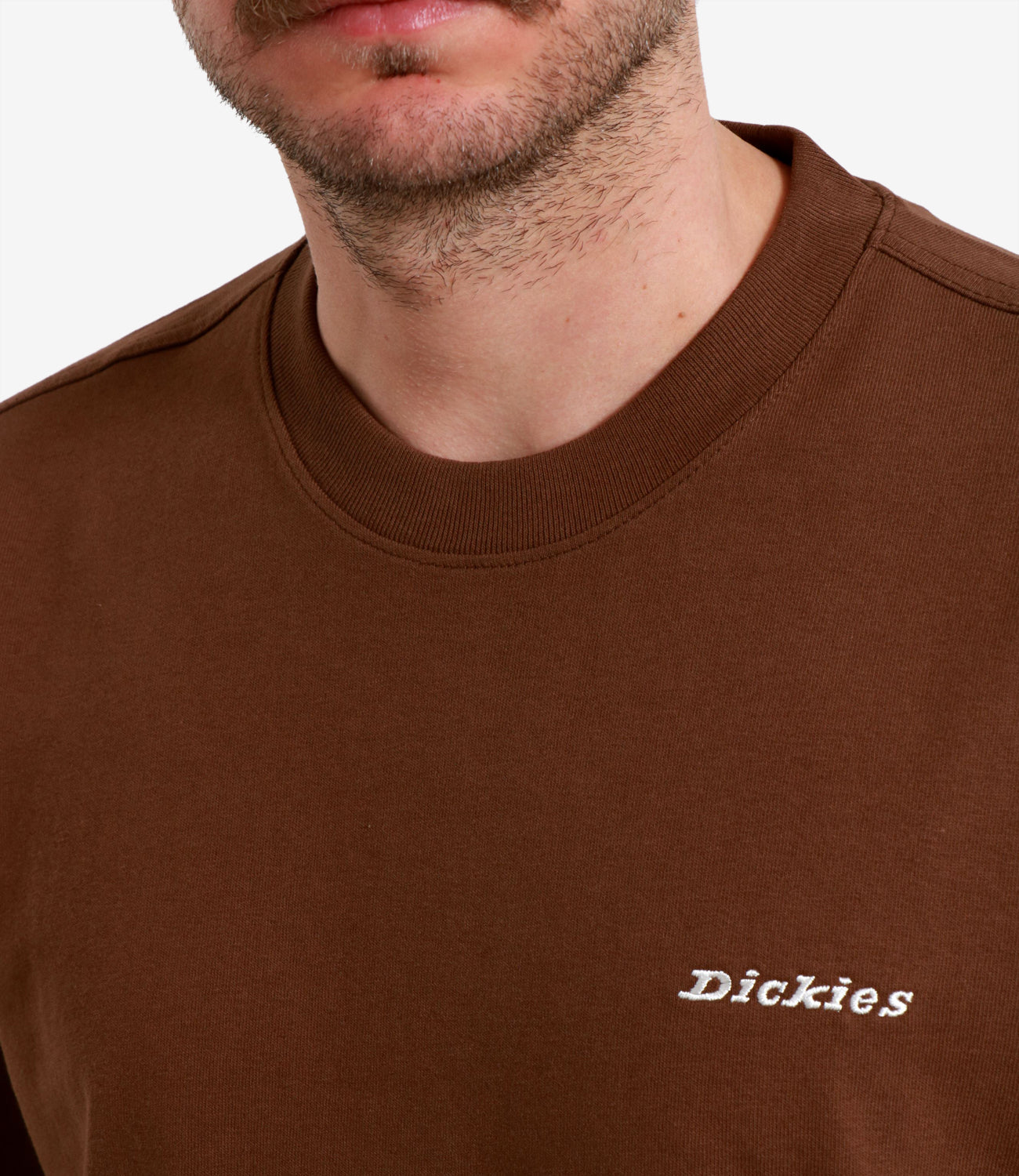 Dickies T Shirts And Polos Brown