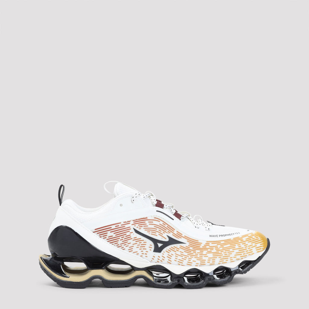 Mizuno Wave Prophecy 13.2