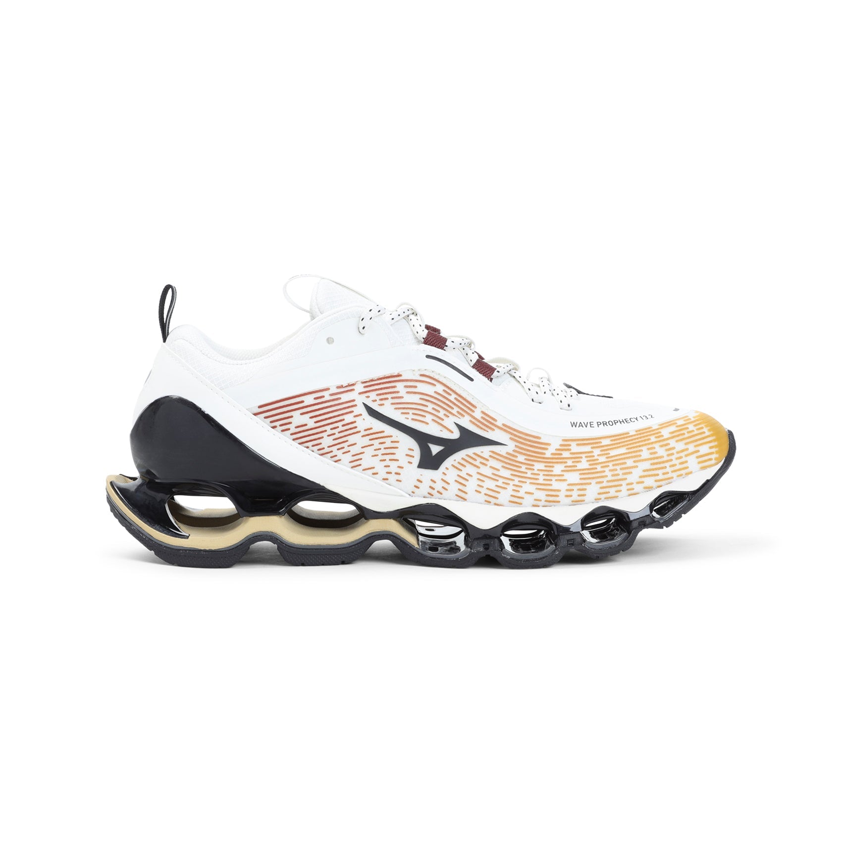 Mizuno Wave Prophecy 13.2