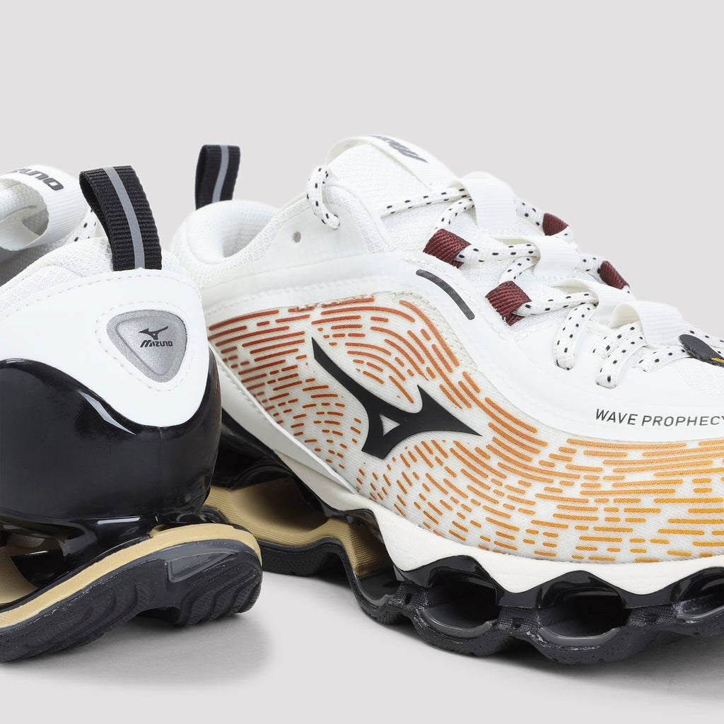 Mizuno Wave Prophecy 13.2