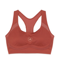 Adidas X Stella Mc Cartney A Smc Tpr Pi Bra