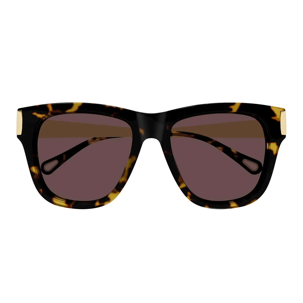 Chloé Sunglasses Ch0349 S 003 Brown Gold/Purple Women