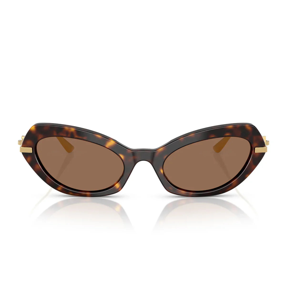 Dolce & Gabbana Sunglasses Dg4473 502/73 Havana/Brown Women
