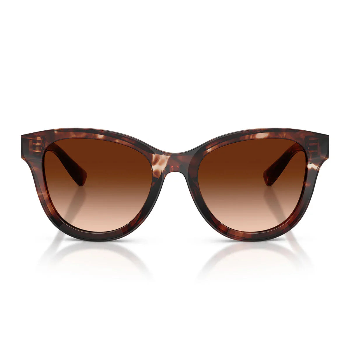 Dolce & Gabbana Sunglasses Dg4533 322274 Dark Red Brown/Smoky Brown Women