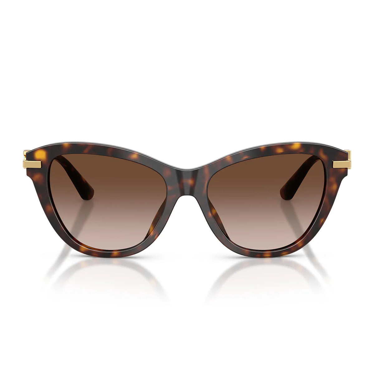 Dolce & Gabbana Sunglasses Dg4534 502/13 Brown Gold/Light Smoky Brown Women