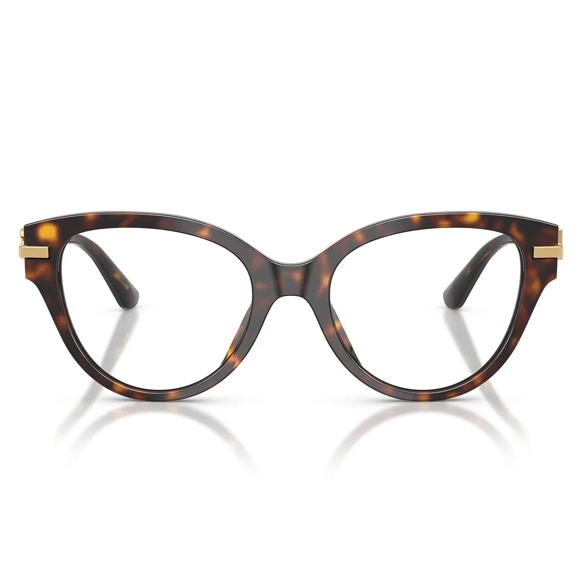 Dolce & Gabbana Eyeglasses Dg3438 502 Brown/Transparent Women