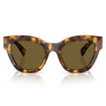 Miu Miu Sunglasses Mu01 Ys 14 L09 Z Honey Brown/Dark Brown Women
