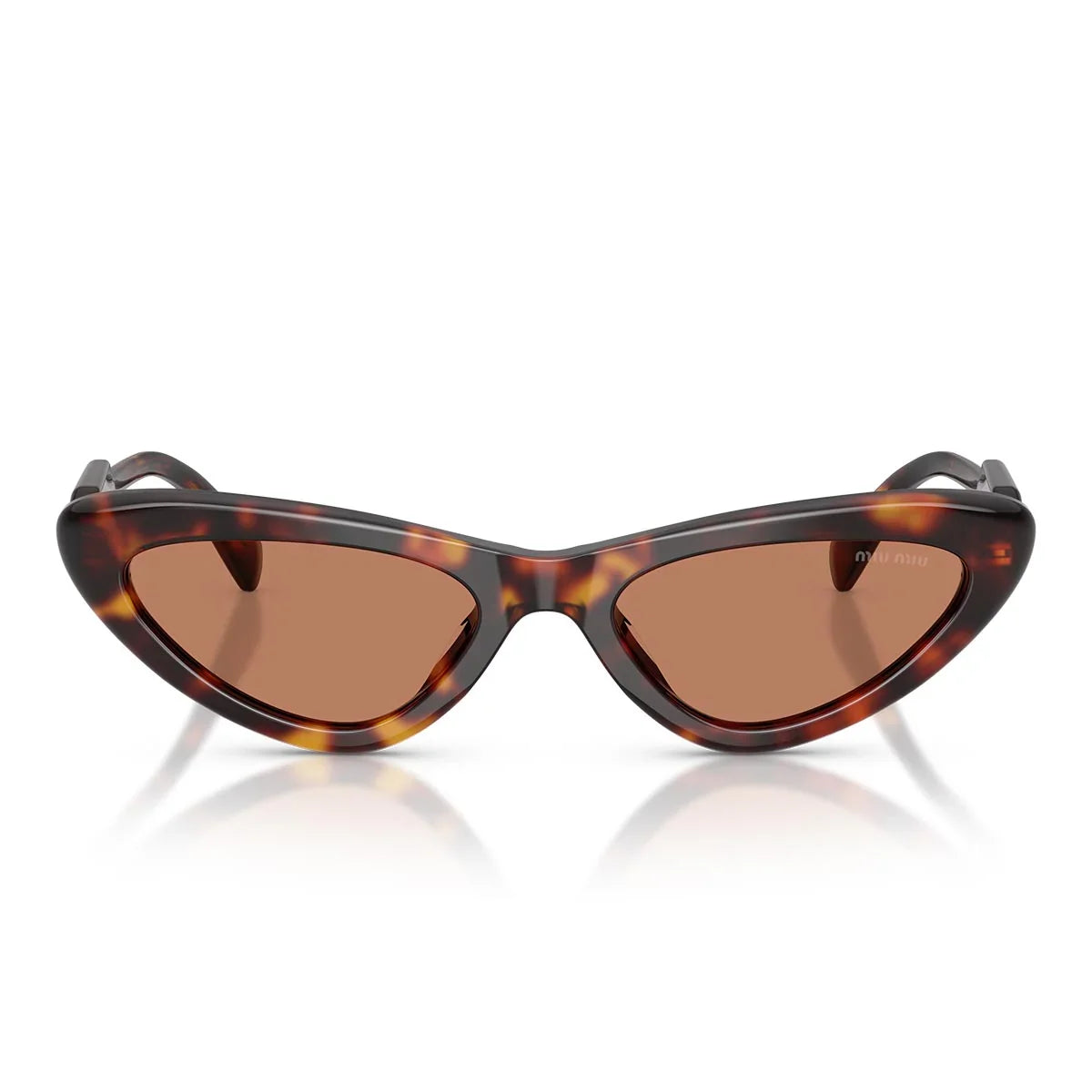 Miu Miu Sunglasses Mub11 Su 27 L90 Q Brown/Brown Women