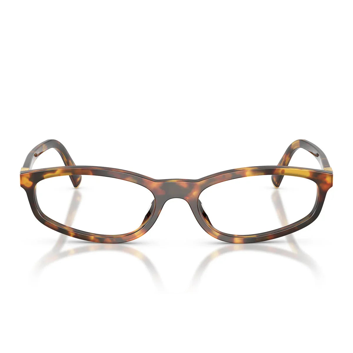 Miu Miu Eyeglasses Mu01 Zv 14 L1 O1 Honey Brown/Transparent Women