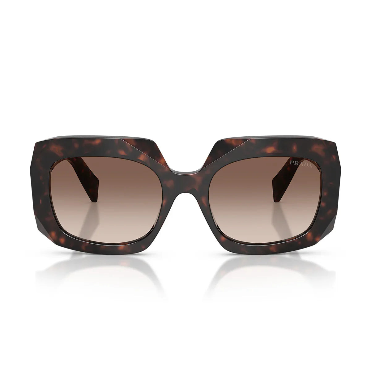 Prada Sunglasses Prb23 S 17 N10 S Root Tortoise/Smoky Brown Women