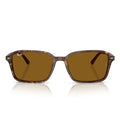 Ray Ban Sunglasses Rb2231 141833 Raimond Brown/Brown B 15 Unisex