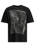 Stüssy T Shirts