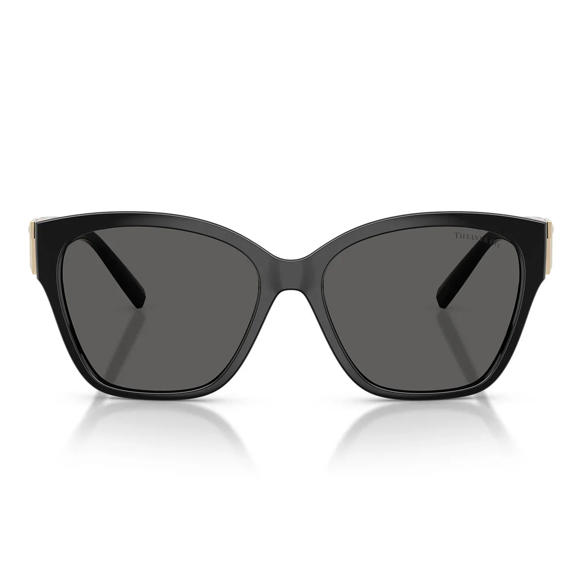 Tiffany & Co. Sunglasses Tf4254 U 8001 S4 Black/Dark Gray Women