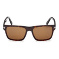 Tom Ford Sunglasses Ft1205 52 E Calder Havana/Brown Men